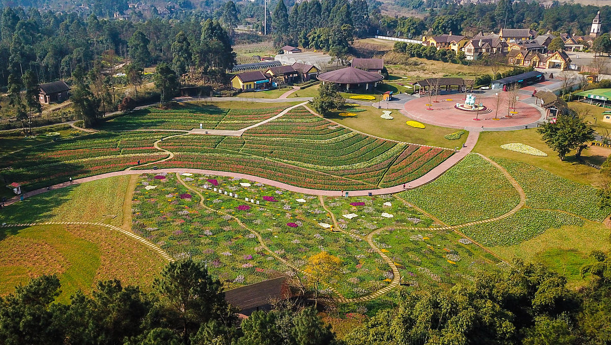 2020年2月29日,成都,石象湖景区鲜花盛开.(如需下载使用,请务必署名: