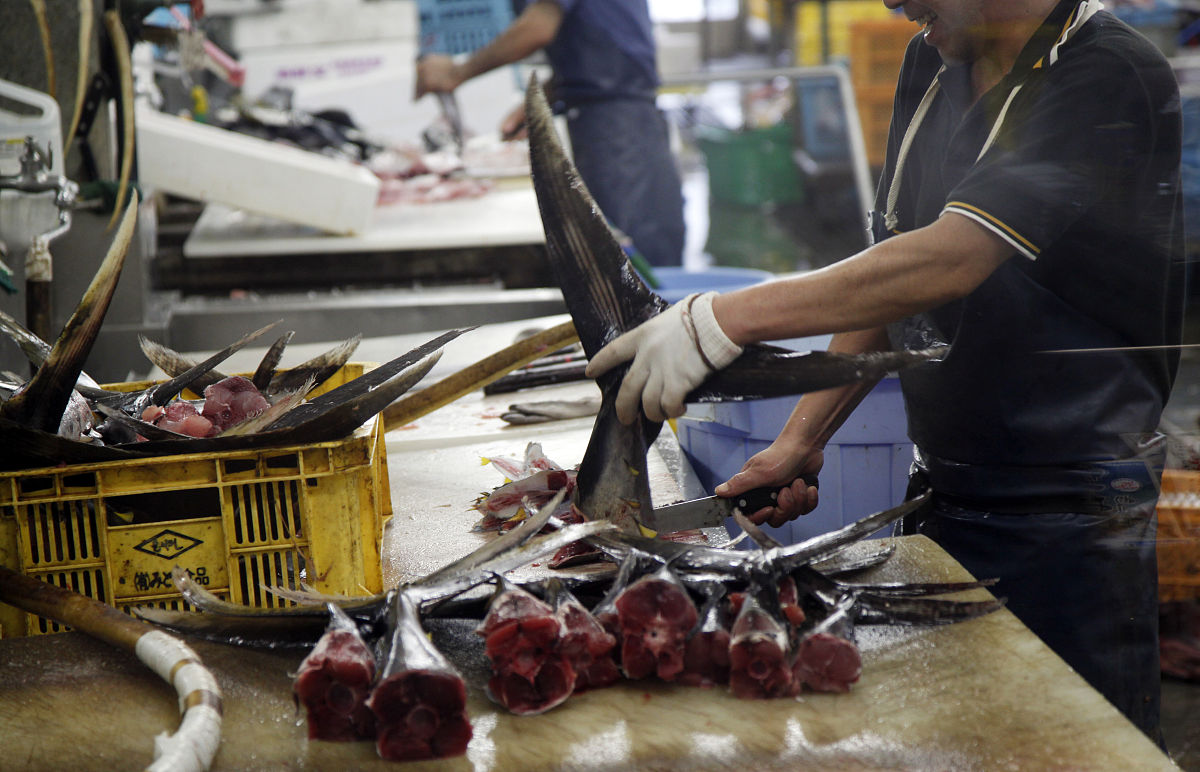 旅行话题：分享你的旅行故事，让我们一起畅聊！