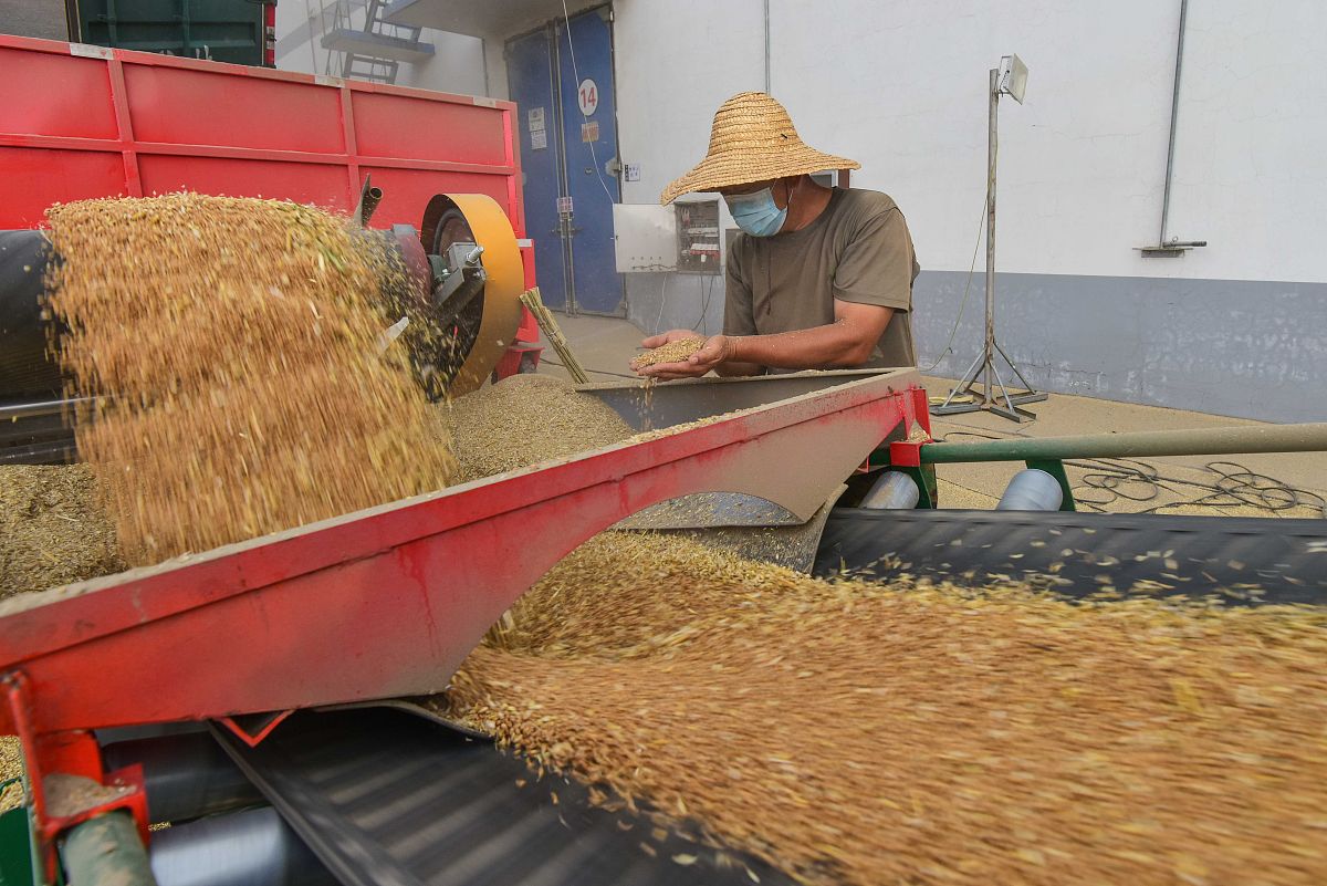 山东商务职业学院粮食工程技术与管理专业怎么样都要学些什么