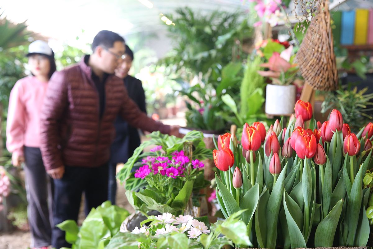 2021 商品花卉专业就业前景分析：就业方向与市场趋势