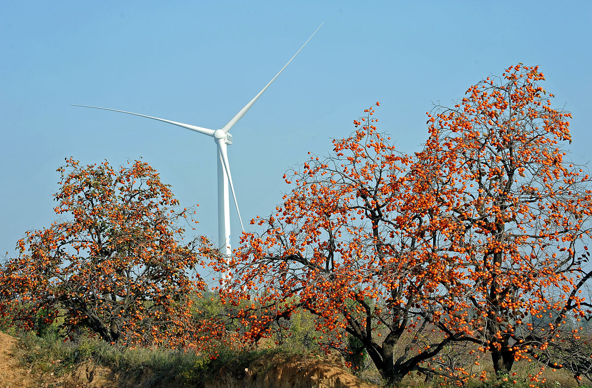 曲靖市农校2019年五年制高职专科招生专业计划