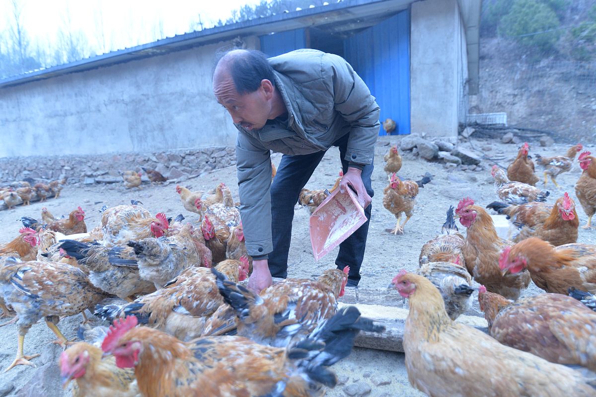 如何取一个好听又好记的个性网名？