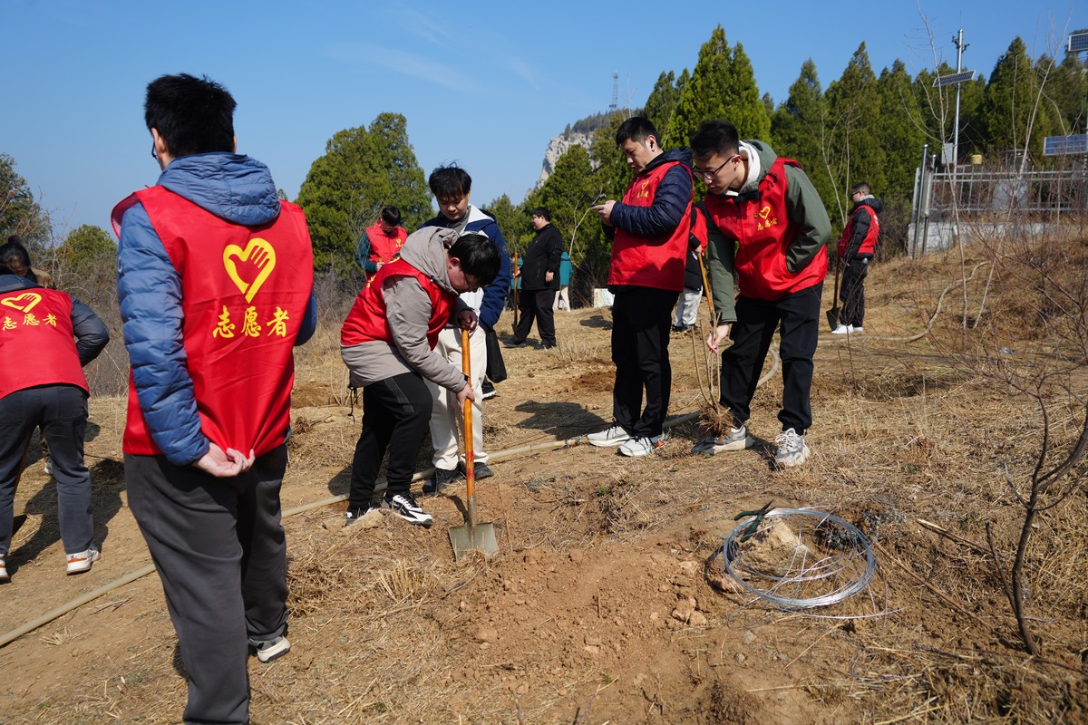 2026年3月12日,济南,青年志愿者在佛慧山开展义务植树
