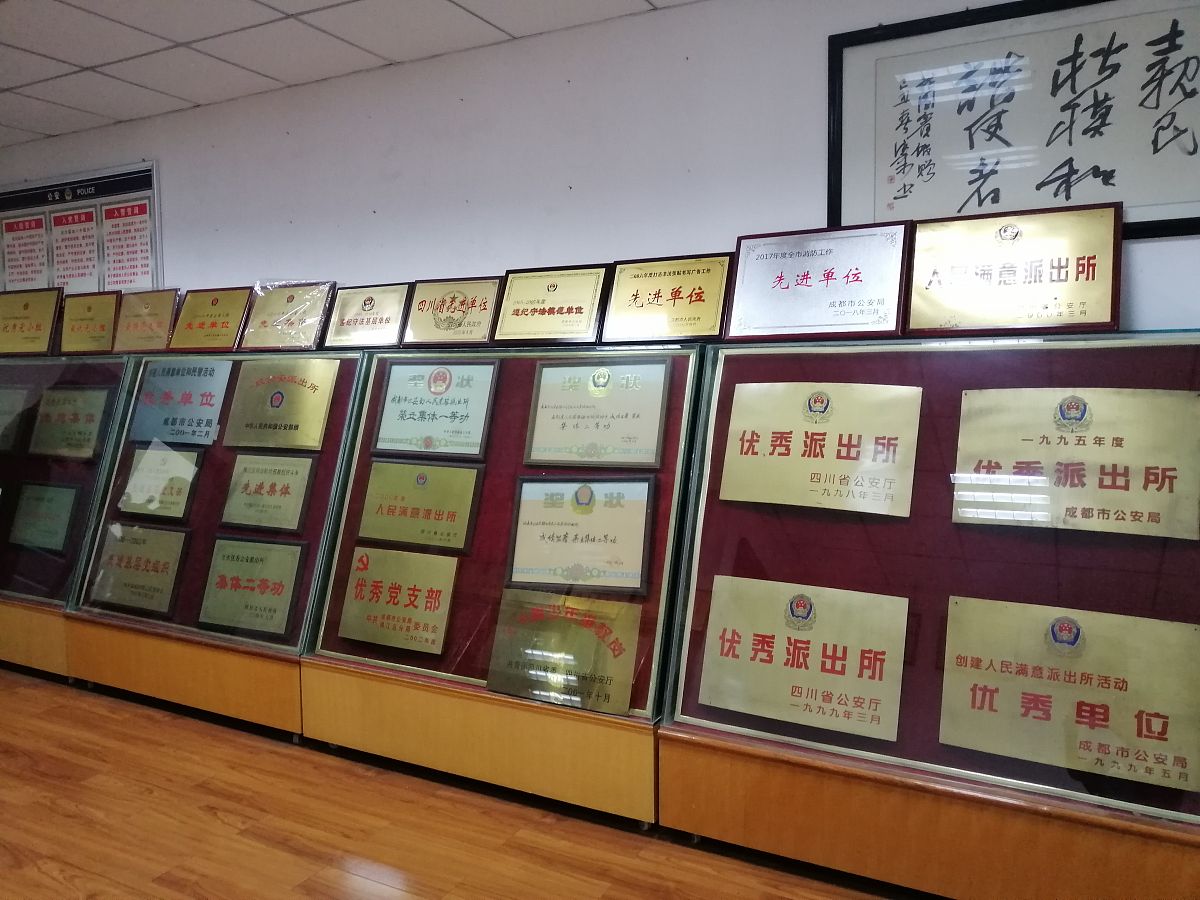 公安职业荣誉体系：构建激励机制，提升战斗力