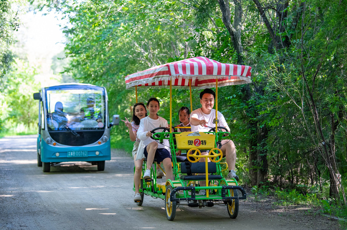 电动观光车的运用场景