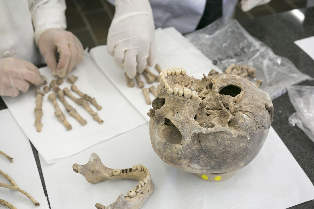 当地时间2021年3月15日,西班牙贝拉特拉,人类学家研究在mas de santa 