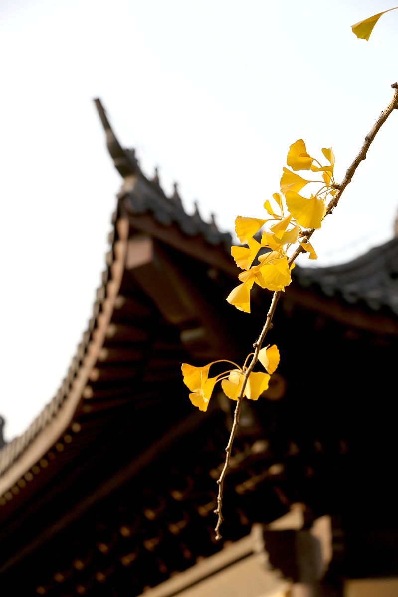 淮安文化艺术学校2023年好吗正规吗-怎么样