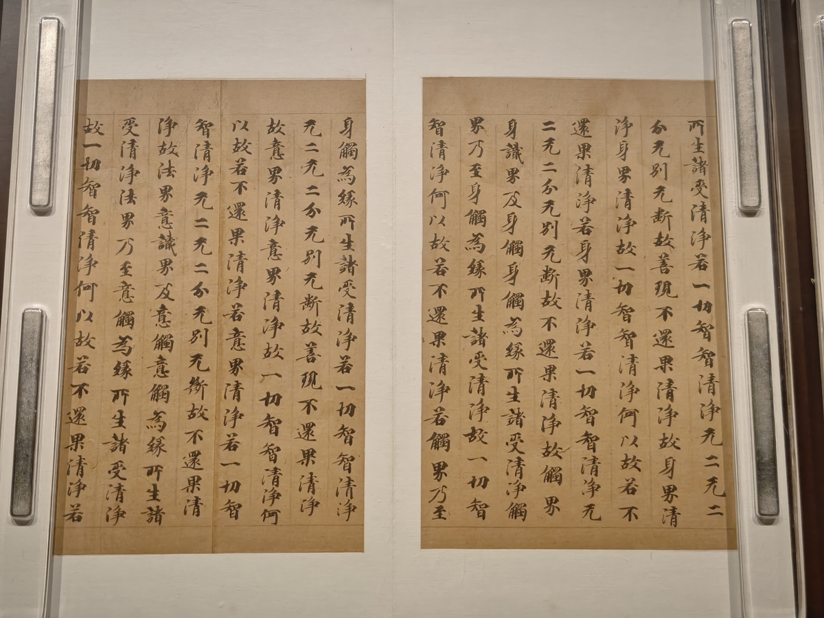 唐寅《畏庐文集序》译文：解读明代文学巨匠的生平与思想