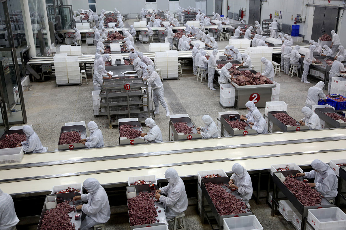 乡镇开加工厂好项目：致富商机与行业建议