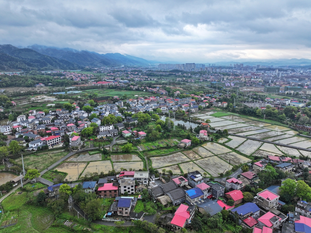 2026年4月3日,江西省萍乡市芦溪县芦溪镇东阳村,青山.