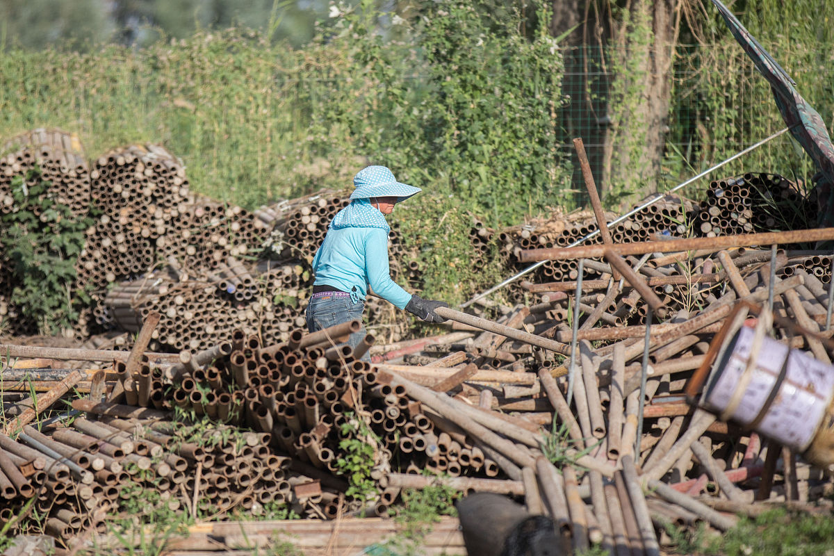 广西中专学校选择指南：2021年中学毕业生必看
