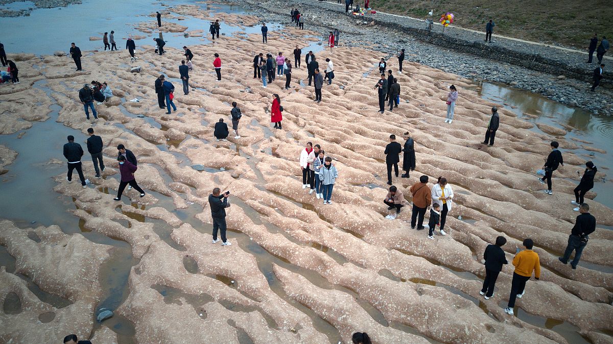 小学三年级数学微项目：探究圆的面积