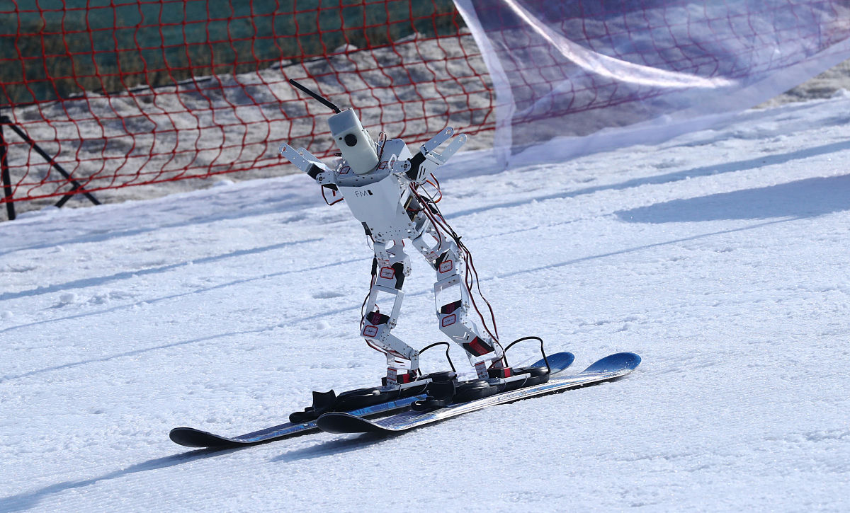 浙江外国语学院阿拉伯语专业培养目标：培养国际化、实践型人才