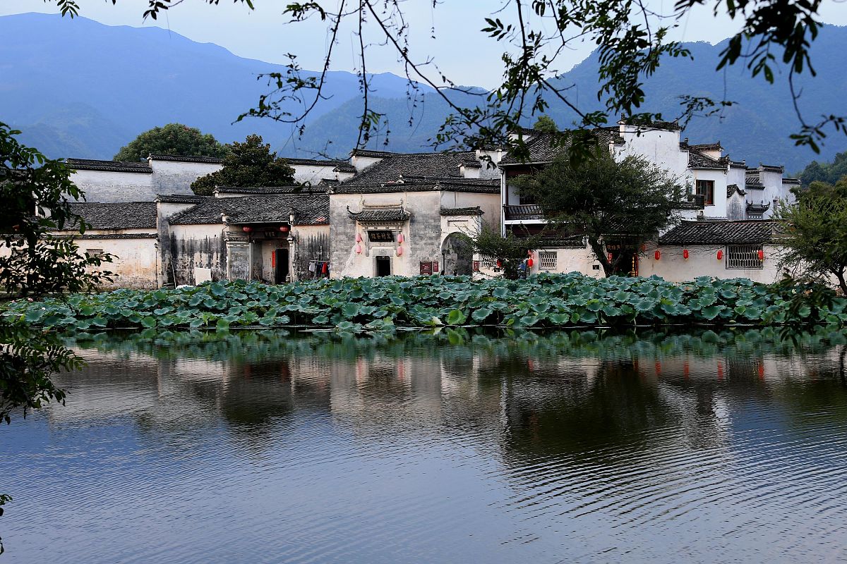 如何理解丁元英所说的文化属性