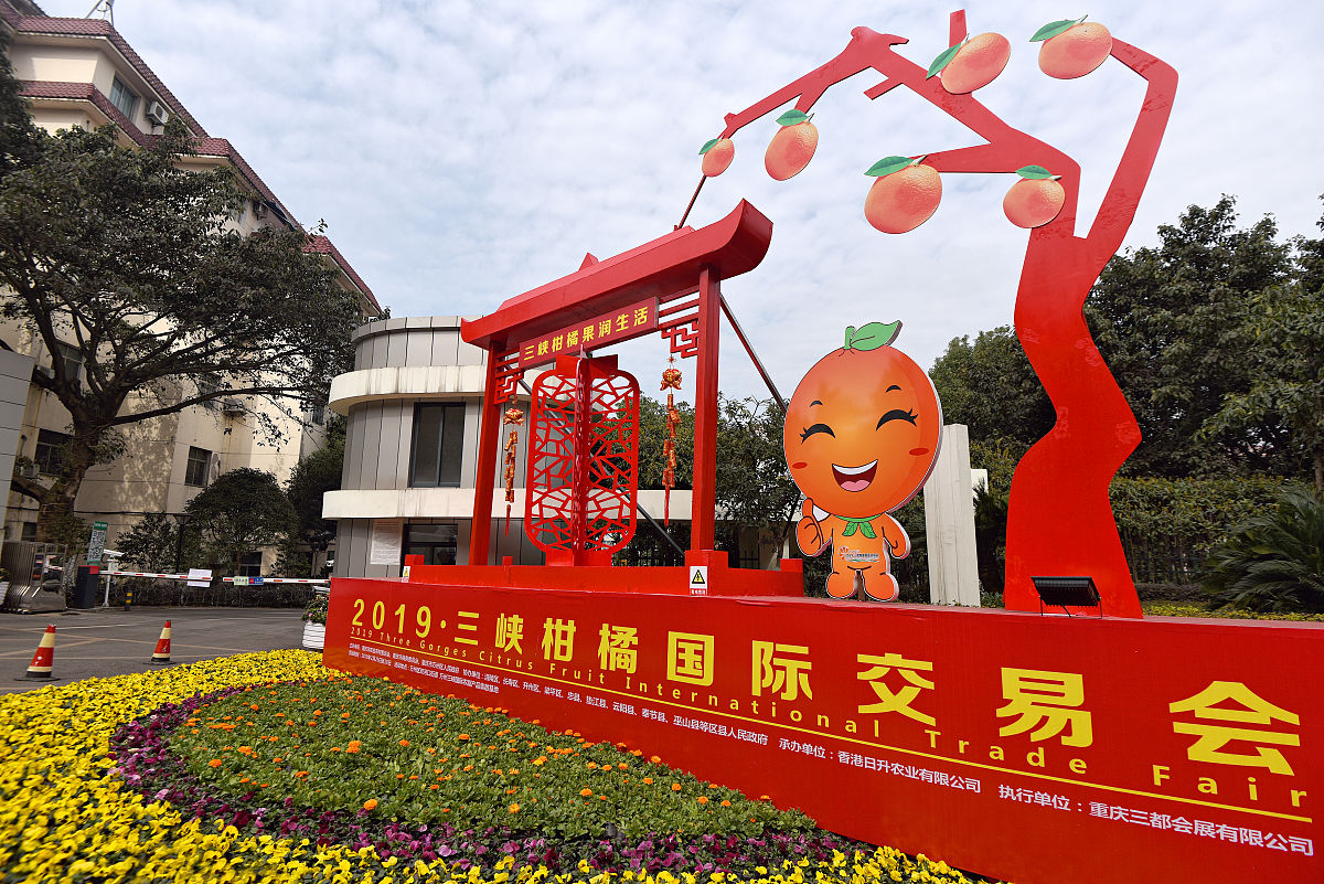 重庆2022年有哪些护理学校就业比较好