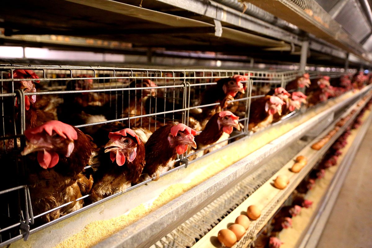 海安中等专业学校2022年招生专业-电子商务、汽车维修等