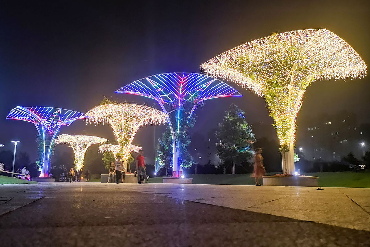 宁波四明职业高级中学2023年招生专业 - 培养未来的精英人才