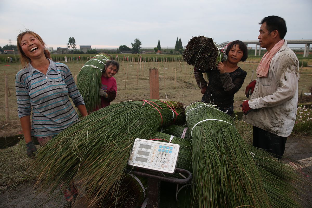 四川省农业广播电视学校畜禽生产技术专业怎么样都要学些什么