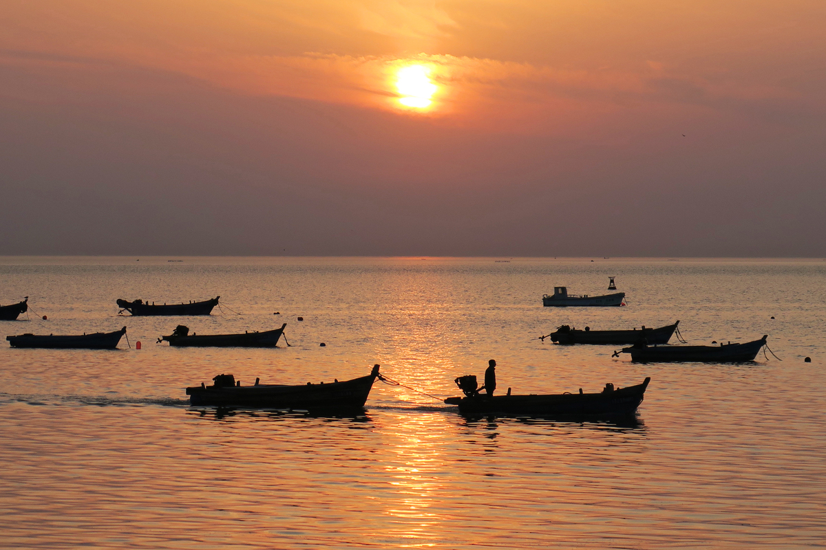 2023年报读编导专业就业前景好不好？