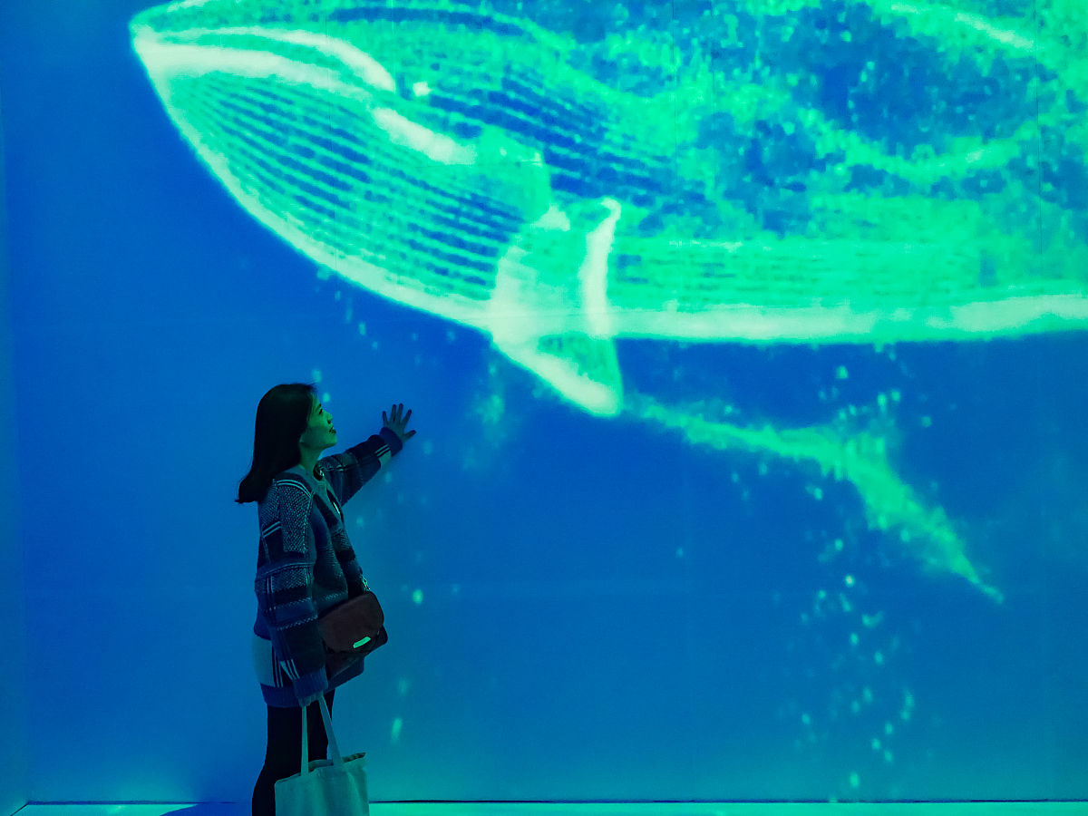 宁波海洋职业技术学校2023年专业招生人数
