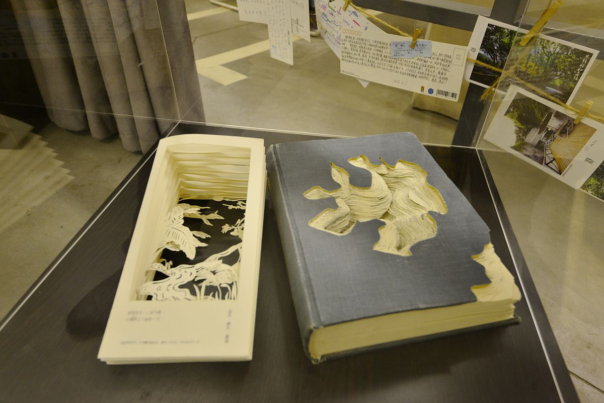 书润匠心：书籍创作中的用心与表现形式