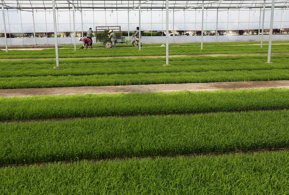 攀枝花市华森职业学校农业机械运用与维护专业怎么样