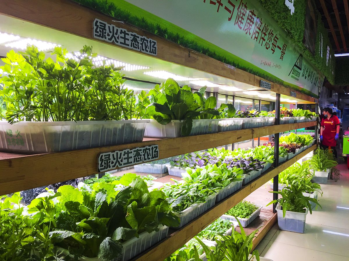 经营微型社区蔬菜工厂的公司