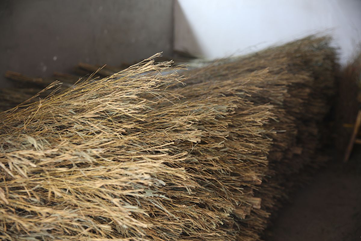 灰圪针玉米须茶的做法_灰圪针玉米须茶怎么做