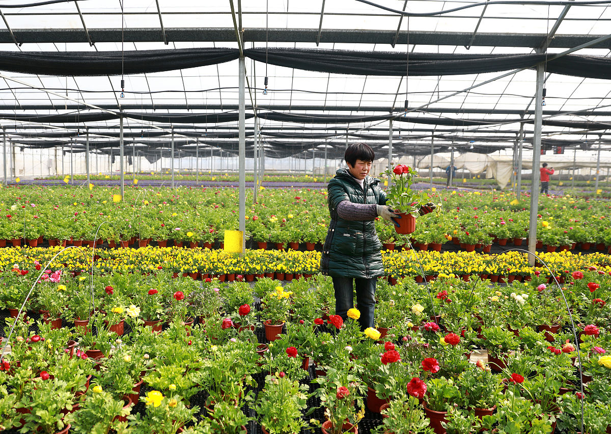 楚雄农业学校果蔬花卉生产技术专业怎么样