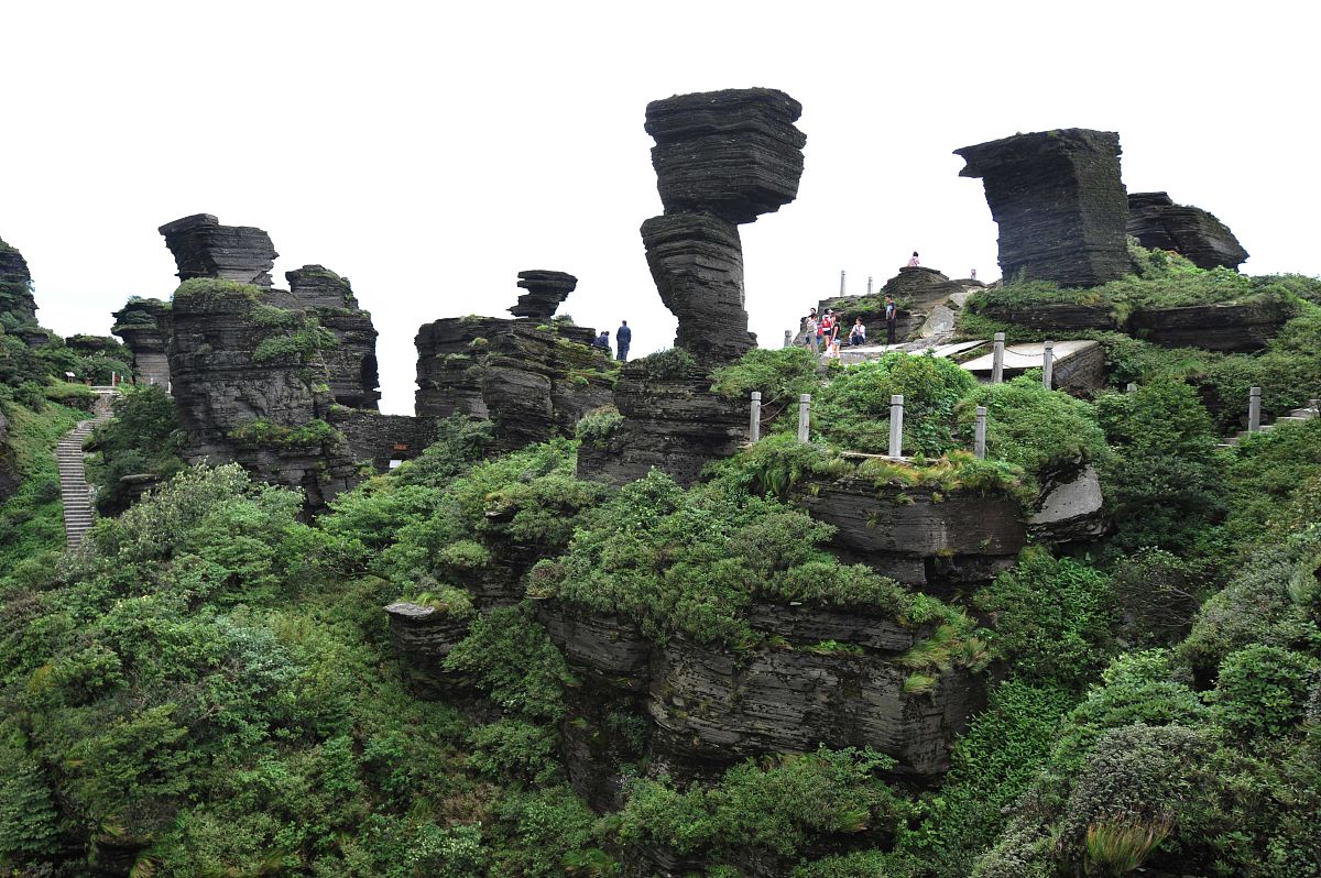 贵州初中毕业生读铁路专业学校？报考条件、专业介绍及职业规划