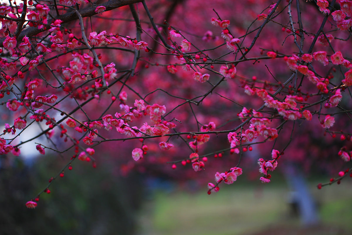 宜昌卫校2022年招生简章