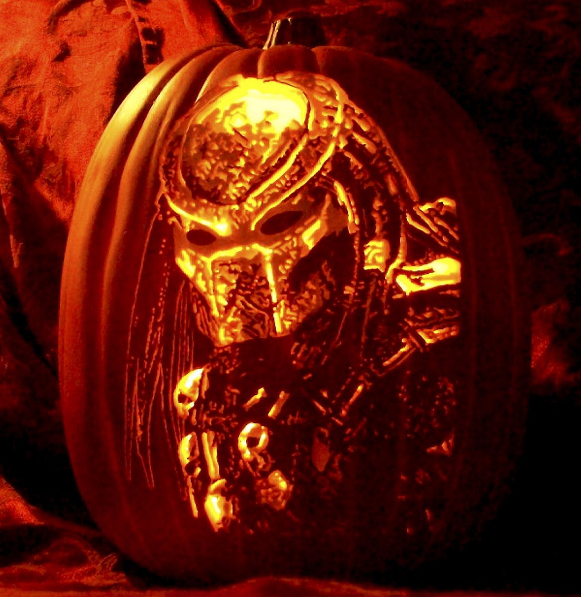 我的读书故事：从小学生到书虫的快乐旅程