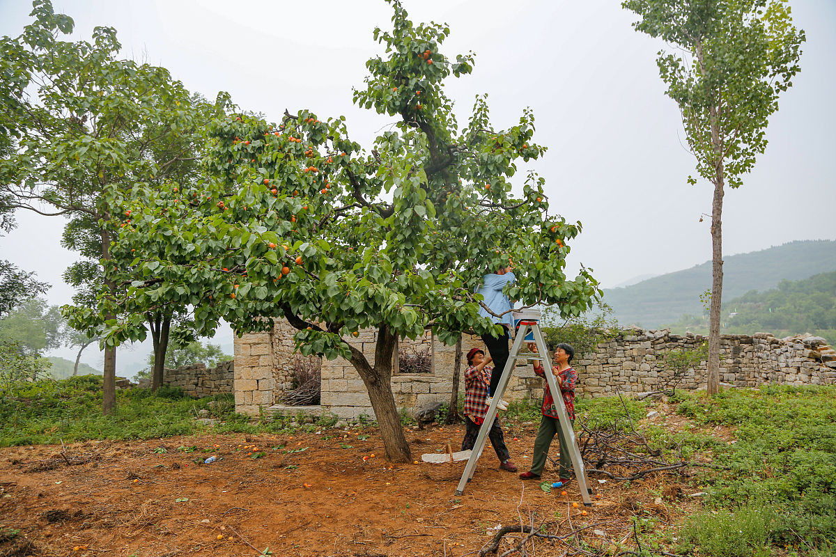 四川中专学校推荐：2021年不容错过的优秀学校