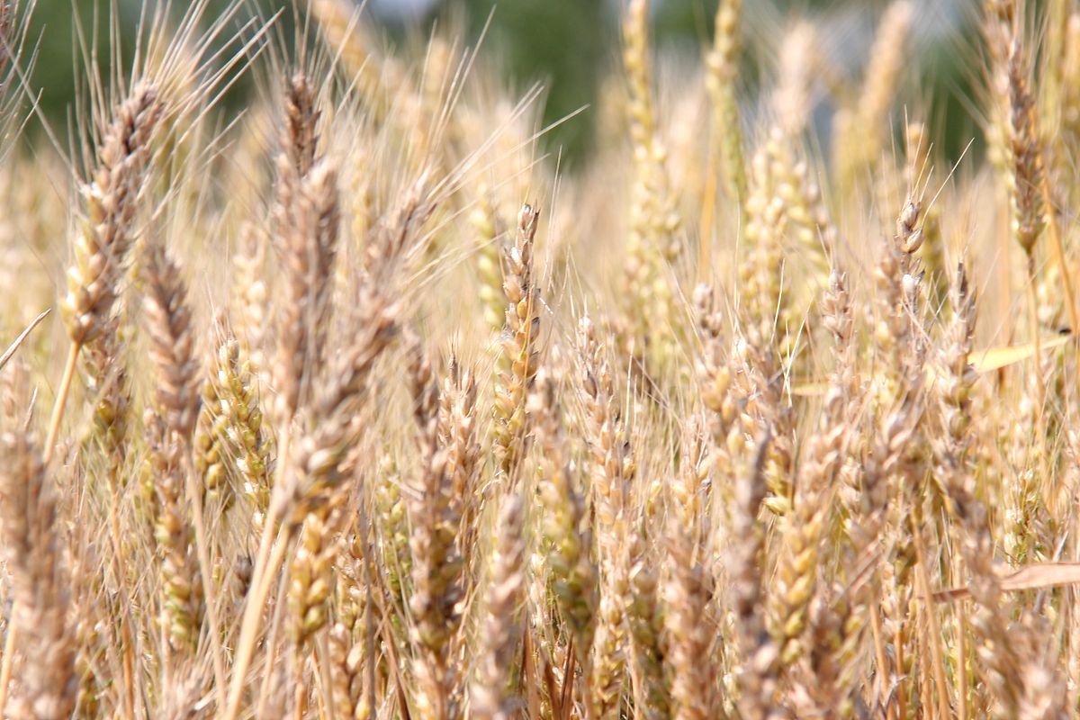 威海高级技工学校地址