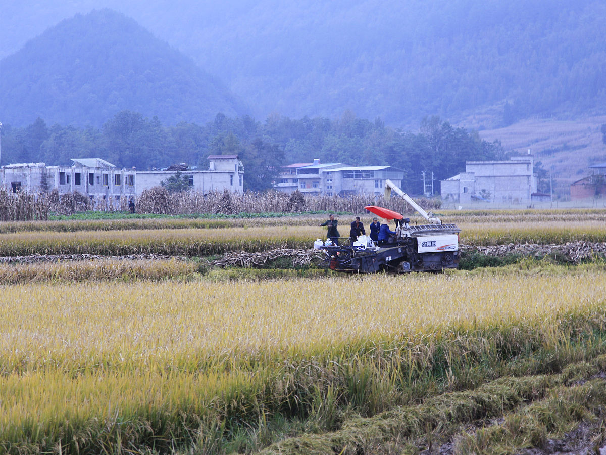 重庆农业机械化学校数控技术专业怎么样？教学质量深度解析