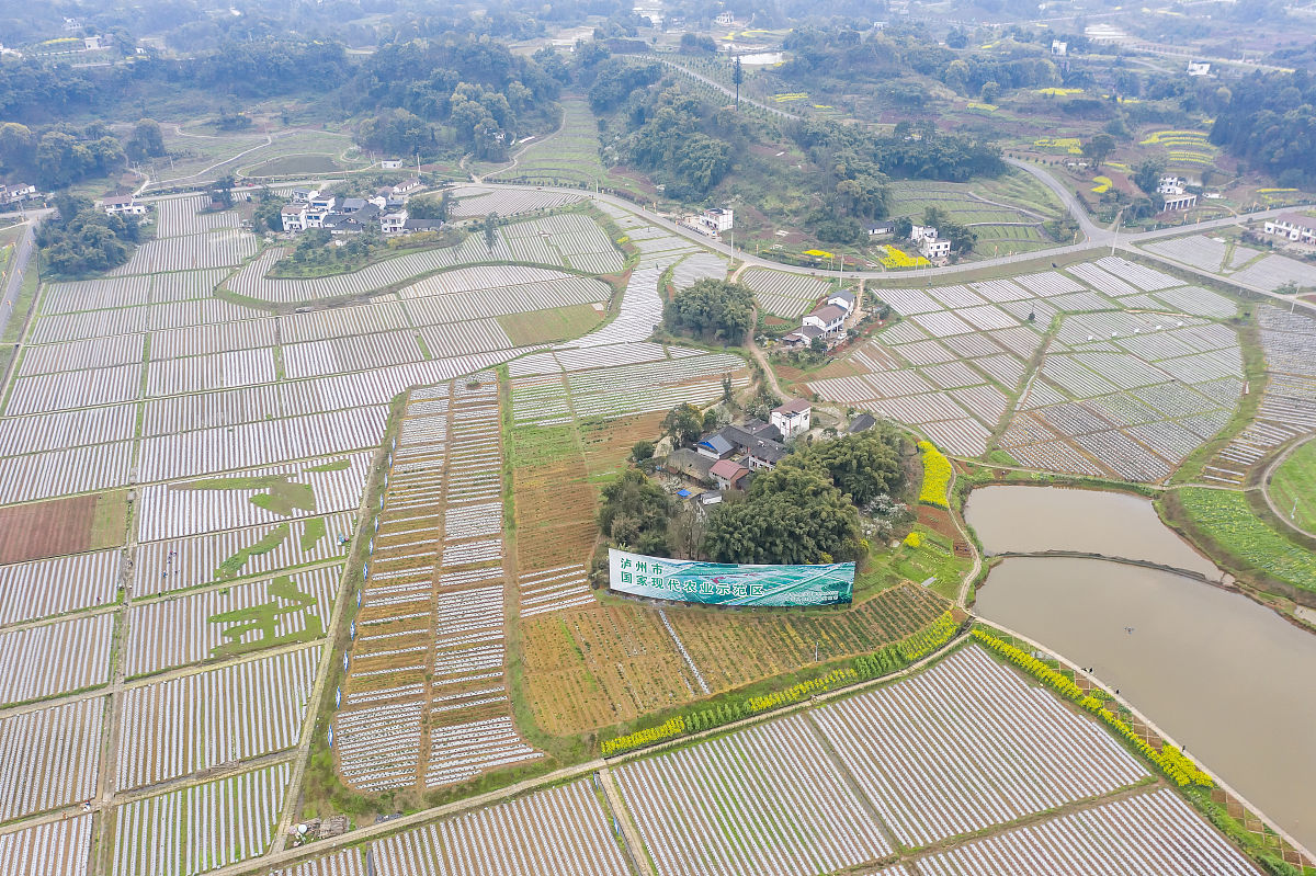 四川省农业广播电视学校畜禽生产技术专业怎么样都要学些什么