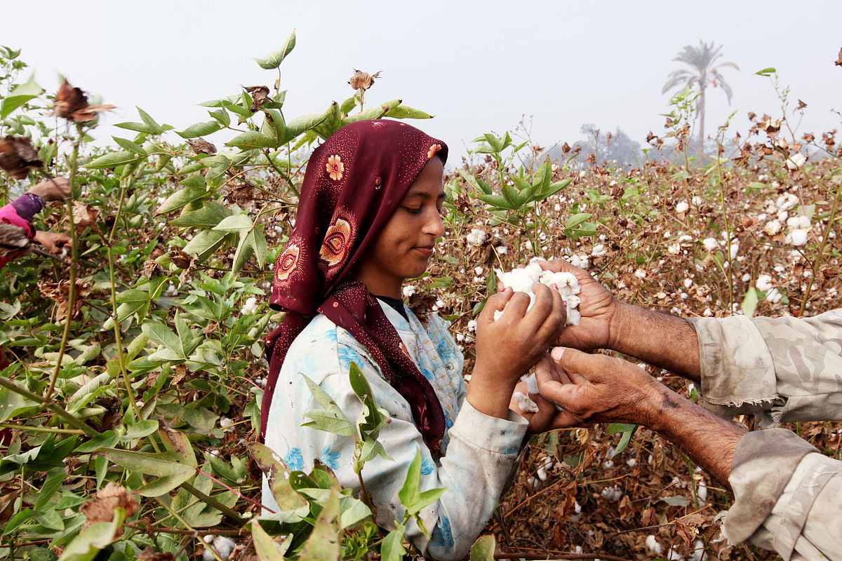 武汉市第一轻工业学校招生条件及对象 - 报考指南
