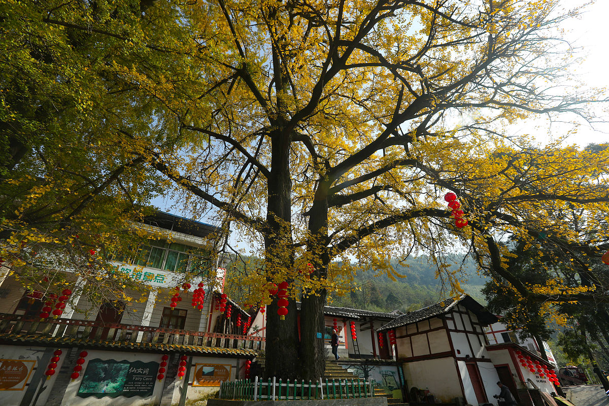 恩施还有那些与三交有关的人或者景点