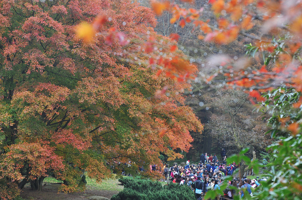 江西省: 自然风光与经济活力兼具的宝地