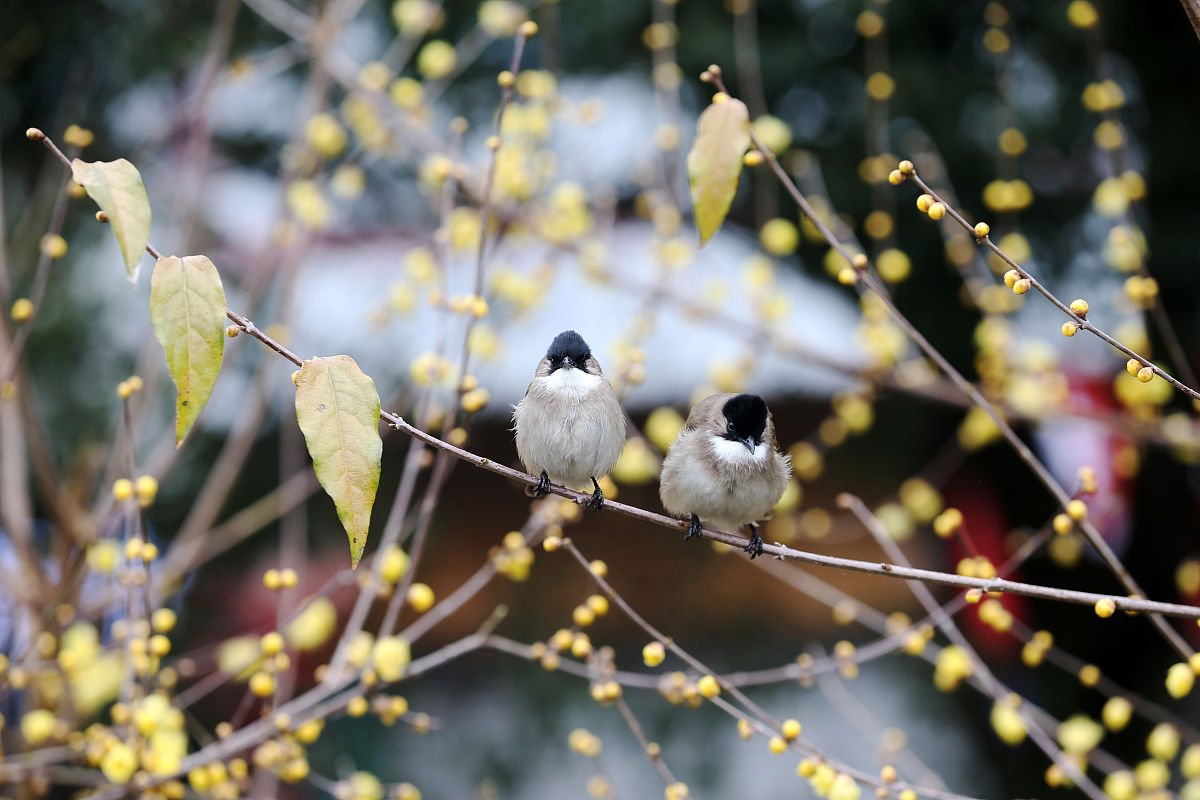 重庆市工业学校2022年招生简章 - 报名时间及方式