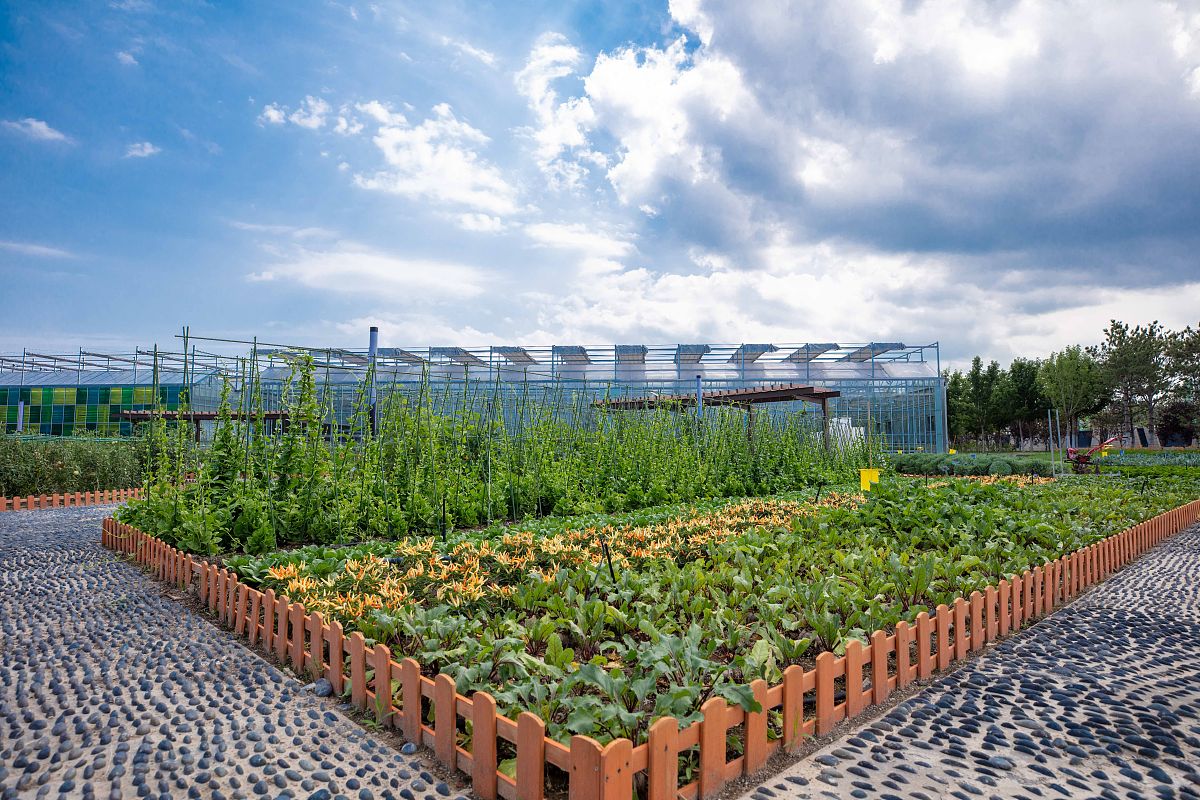 安徽省阜南县柴集高级职业中学农艺观光专业介绍 - 培养农业和旅游领域的专业人才