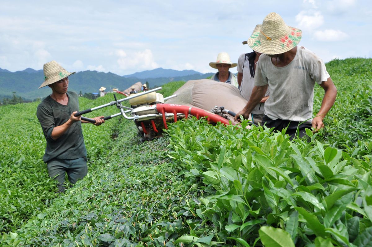 2020年黔东南州技校招生简章