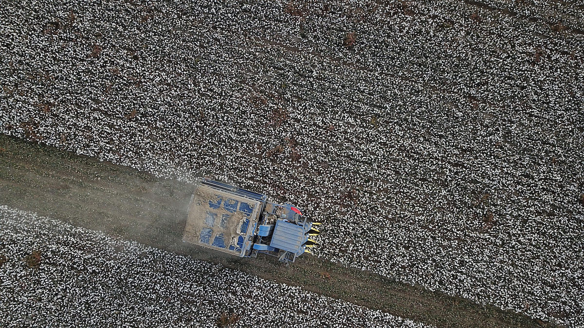 低速冲击对碳纤维会造成什么影响