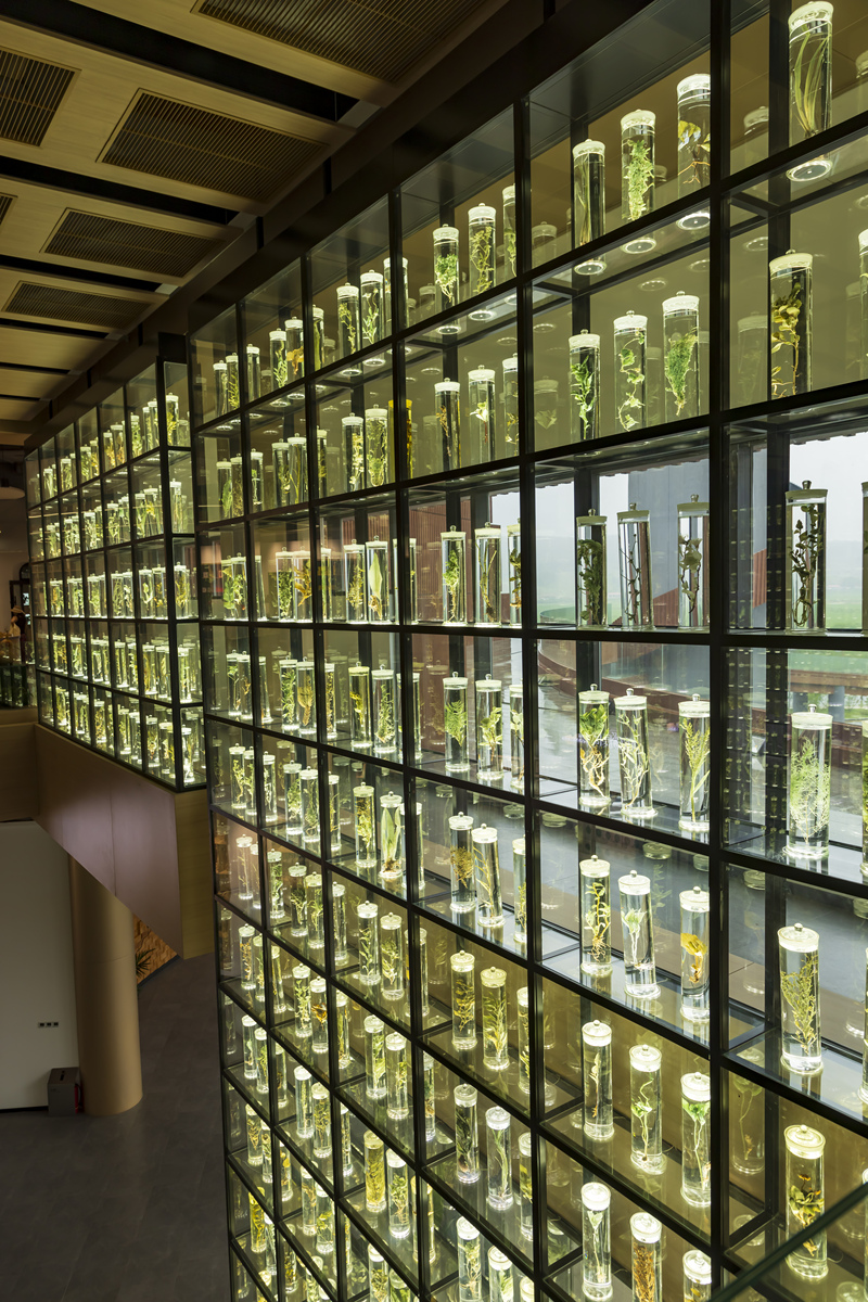 吉林十大中职学校排行榜