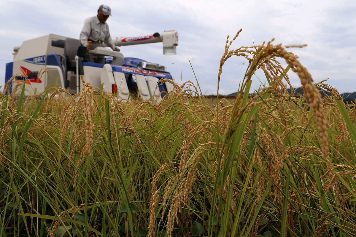 运城农业机电工程学校2021年招生专业：农业机械化、电气化、工程等六大方向
