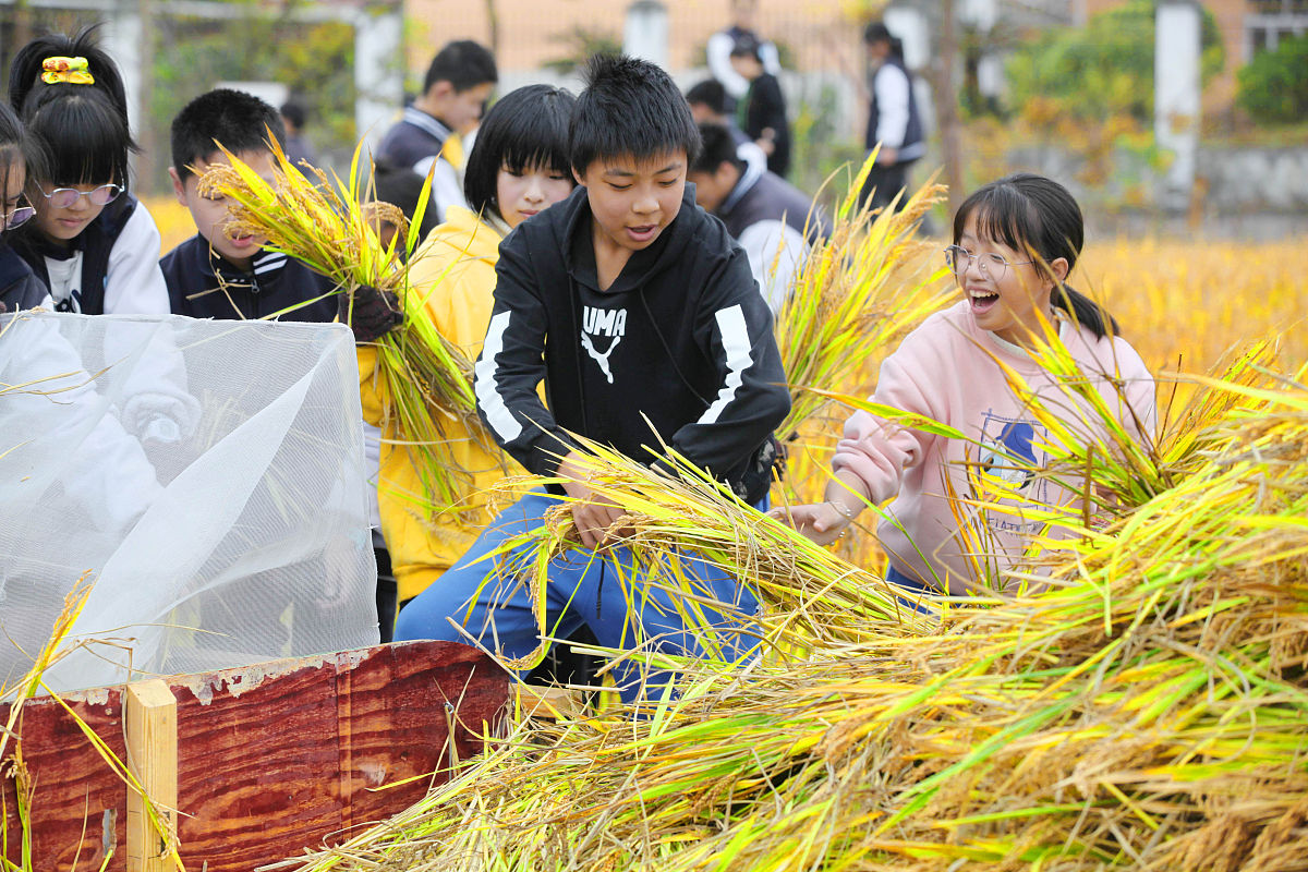 电子信息硕士毕业生自我鉴定从以下三个方面说起：思想上、实践中、学习上