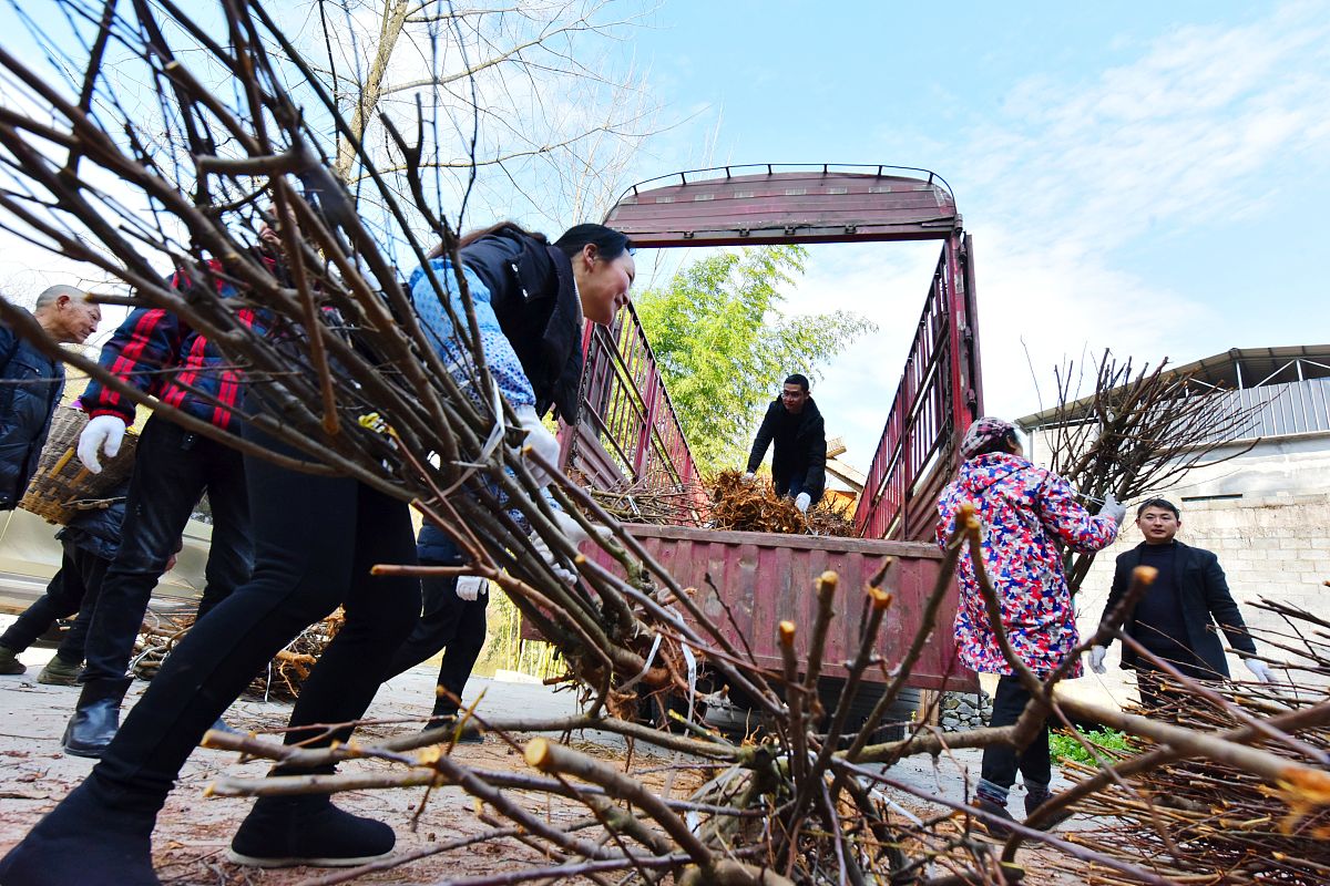 重庆医药科技学校2022年招生分数线预测
