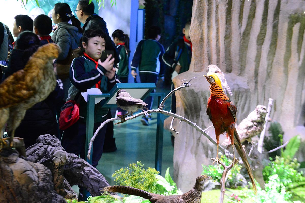 甘肃可以读农村经济管理专业的职校有哪些