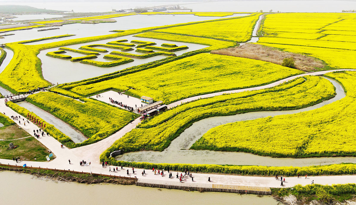 江苏省高邮中等专业学校2021年有哪些专业招生