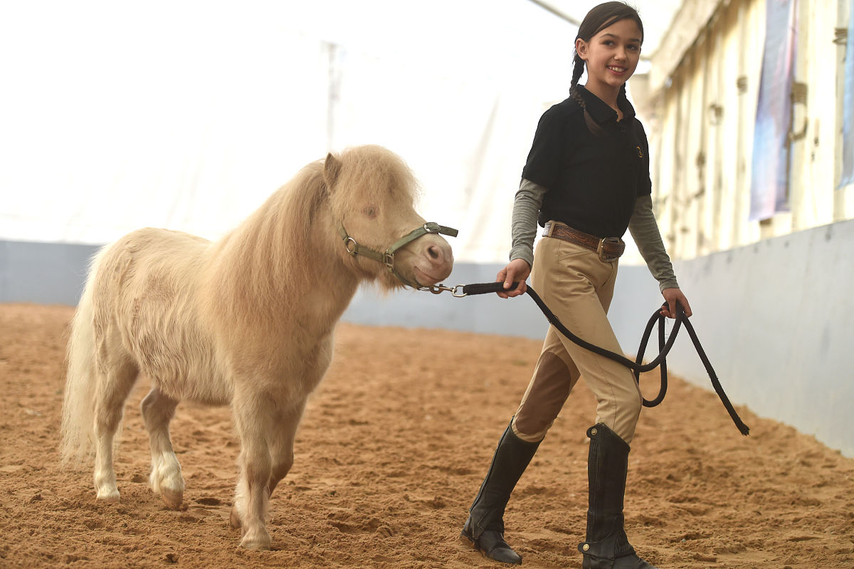 2018年2月7日,加拿大舞台秀《cavalia·舞马》在南京揭开神秘面纱,来